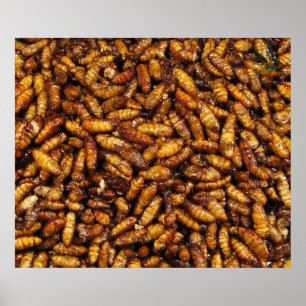 Poster Comida tailandesa de seda fritada da rua dos