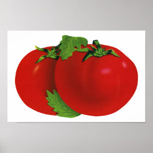 Poster Comidas, Tomate De Herança De Estopa Orgânica, V