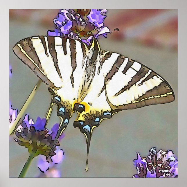 Poster Common Yellow Swallowtail On Lilac Flowers Black O (Frente)
