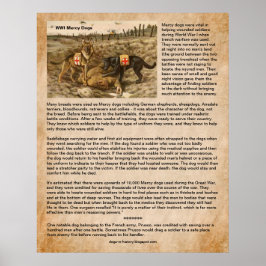 Poster Como cães Compaixões salvaram soldados da WI em ca