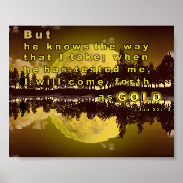 Pôster Como Dourado (Frente)