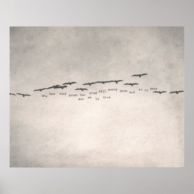 Poster "como eles confiam" (Frente)