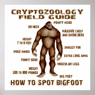 Pôster COMO ENVIAR BIGFOT - Guia de Campo de Criptozoolog