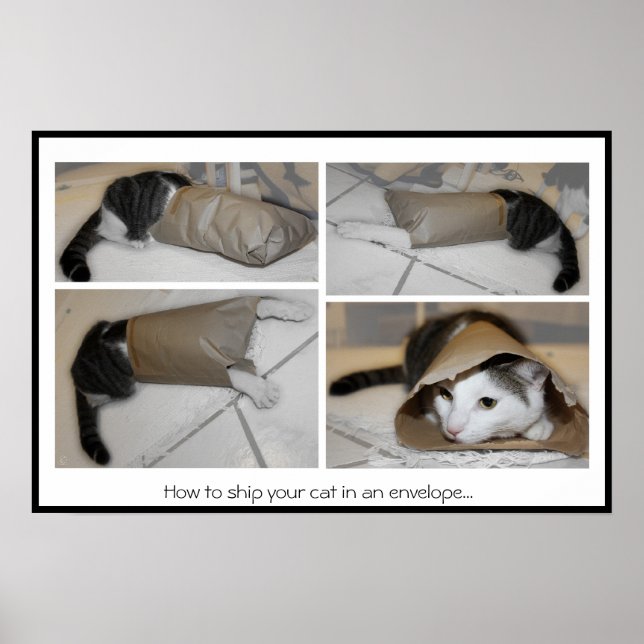 Pôster Como enviar seu gato em um envelope...impressão en (Frente)