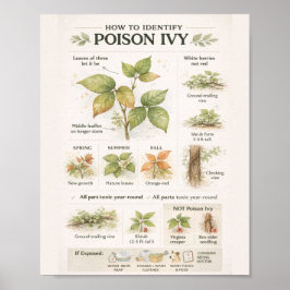 Poster Como Identificar Hera Venenosa – Botânica Educacio