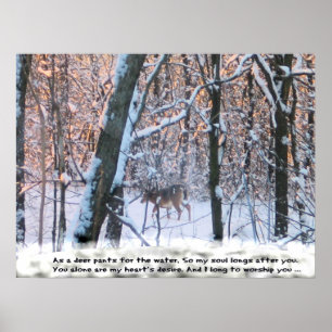 Poster Como o Deer Pants for the Water..