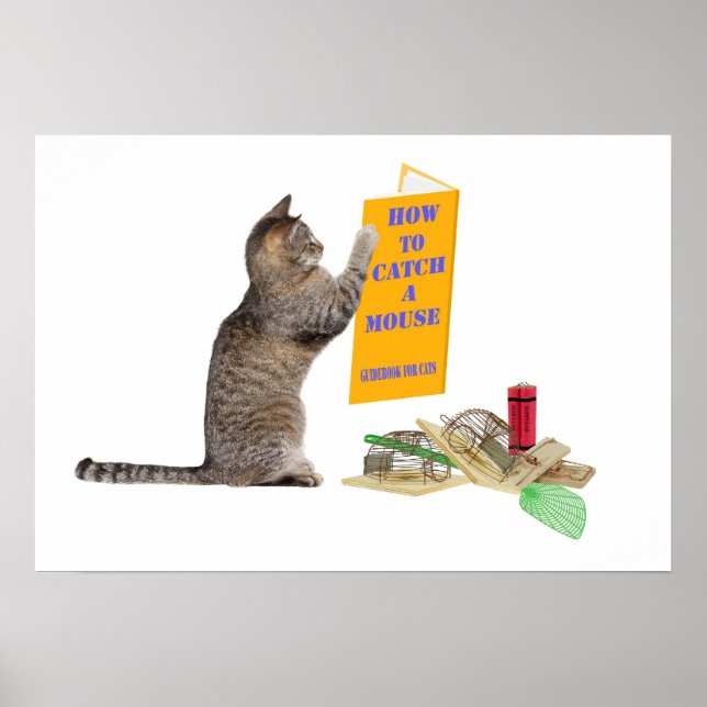 Pôster Como pegar um mouse (Frente)