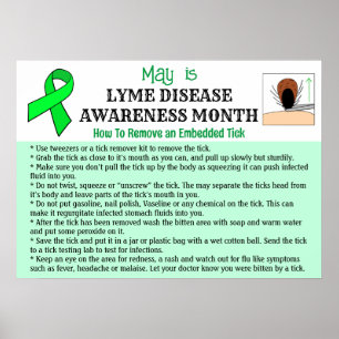 Poster Como remover um tick educacional