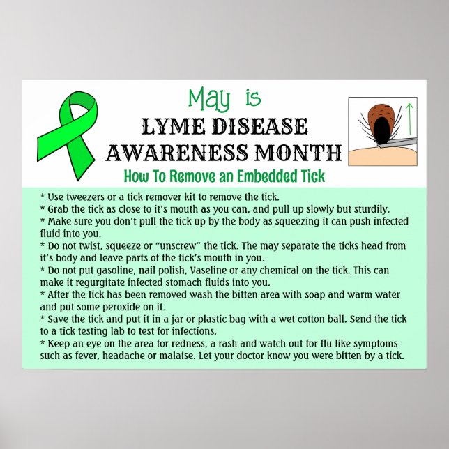 Poster Como remover um tick educacional (Frente)