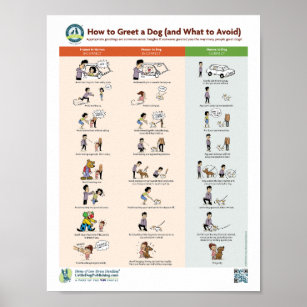 Poster Como saudar um cão (e o que evitar)