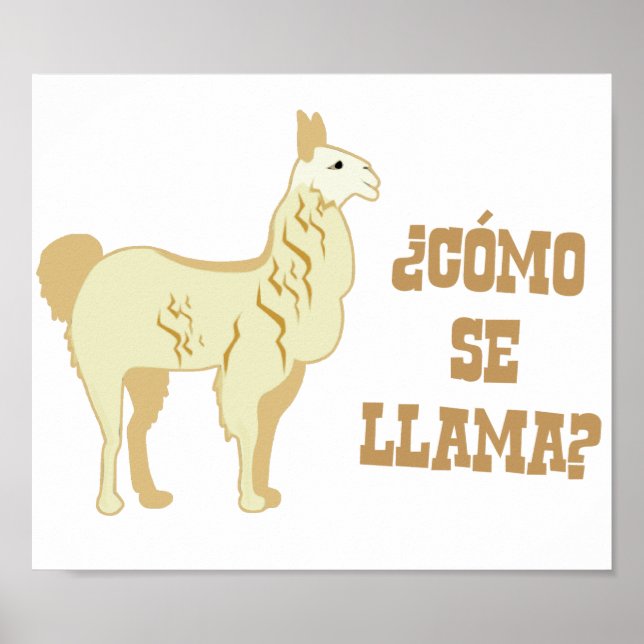 Poster Como Se Llama?  What is your name? (Frente)