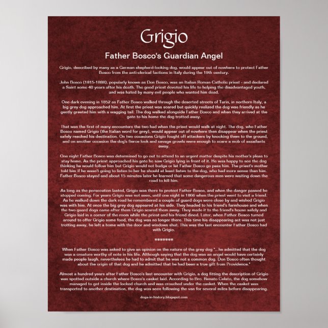 Poster Como um Cachorro Anjo Guardião Guardião Guardou um (Frente)