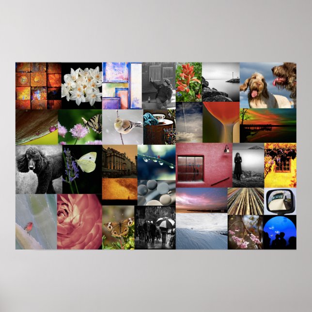 Pôster Como Vemos Isso Adoramos Lee Daniels (Frente)