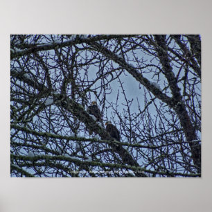 Poster Companheiro para o inverno