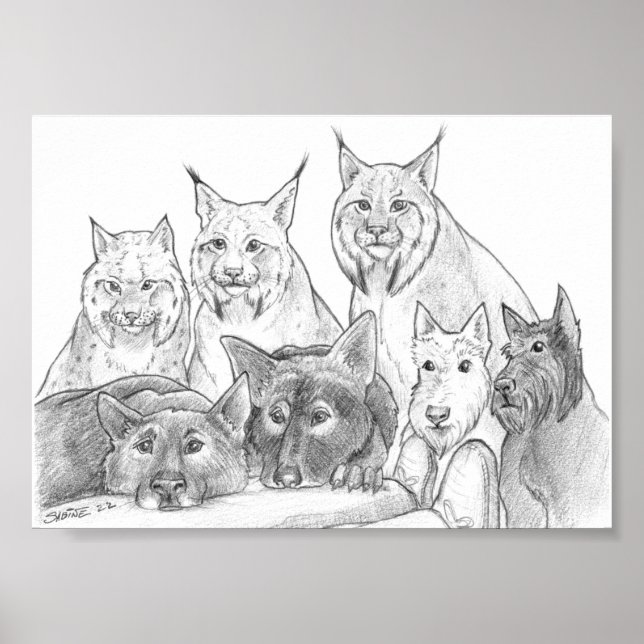 Poster Companheiros (Frente)