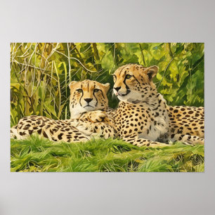 Poster Companheiros Chita - Descansando na Natureza"