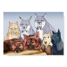 Companheiros - Colorido