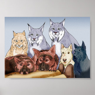 Poster Companheiros - Colorido