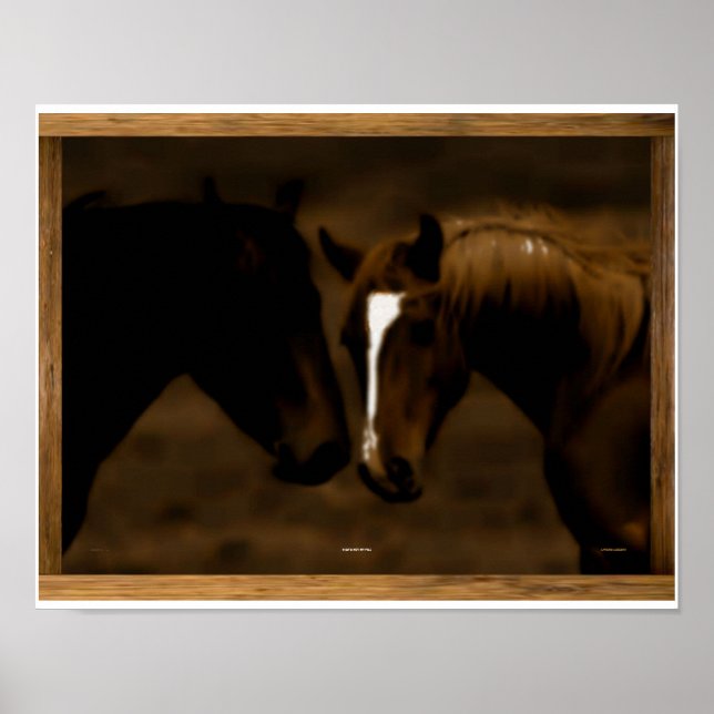 Pôster companheiros de cavalo (Frente)