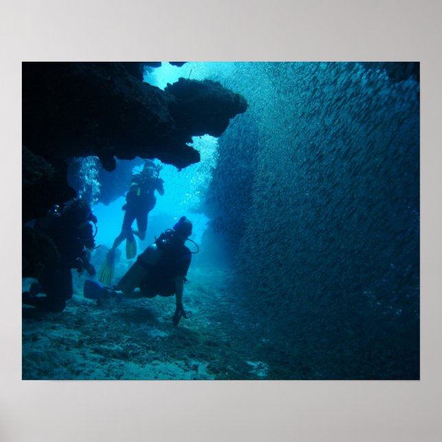 Poster Companhia de trim (Frente)