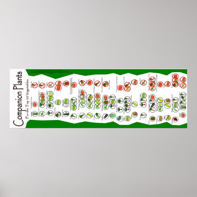 Pôster Companion Plant Poster: As 20 maiores plantas de j (Frente)