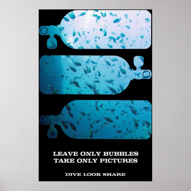 Pôster compartilhamento de aparência de mergulho (Frente)