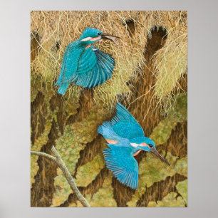 Poster Compartilhando de importar-se 2011