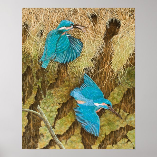 Poster Compartilhando o Caring 2011 (Frente)