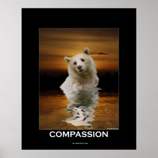 POSTER COMPASSION (Spirit Bear)