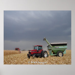 Pôster Competindo a tempestade