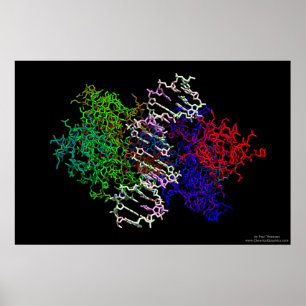 Pôster Complexo de Proteína do DNA