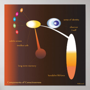 Poster Componentes da consciência