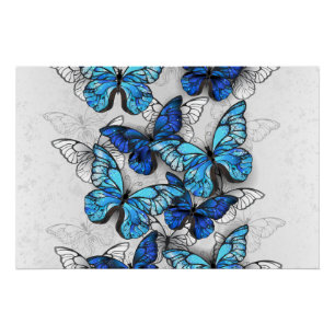 Pôster Composition of White and Blue Butterflies