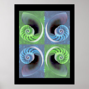 Poster composto do nautilus