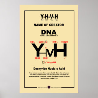 Poster Composto químico YHVH