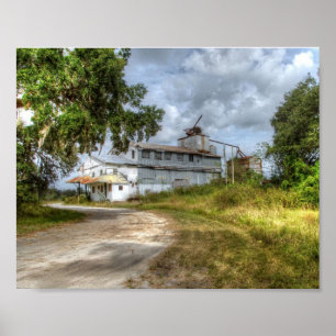 Poster - Comprimido de cana-de-açúcar