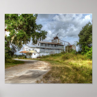 Poster - Comprimido de cana-de-açúcar