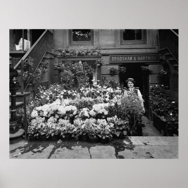 Pôster Compro Flor (Frente)