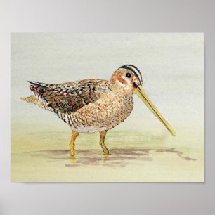 Poster Comum Snipe