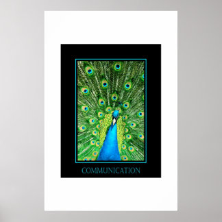 Pôster Comunicação