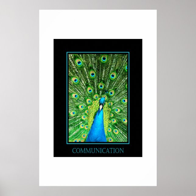 Pôster Comunicação (Frente)