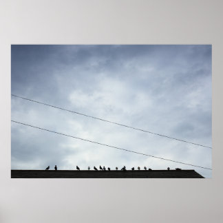 Poster Comunicações