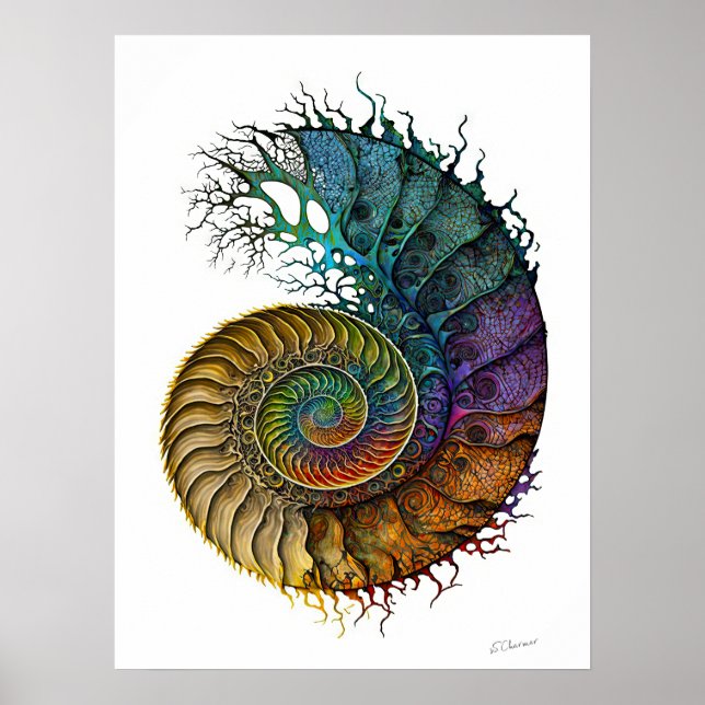 Poster Conceito Ammonite Fóssil em Cores de Tinta Vibrant (Frente)