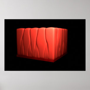 Poster Conceito De Epithélio Columnar Pseudostratificado