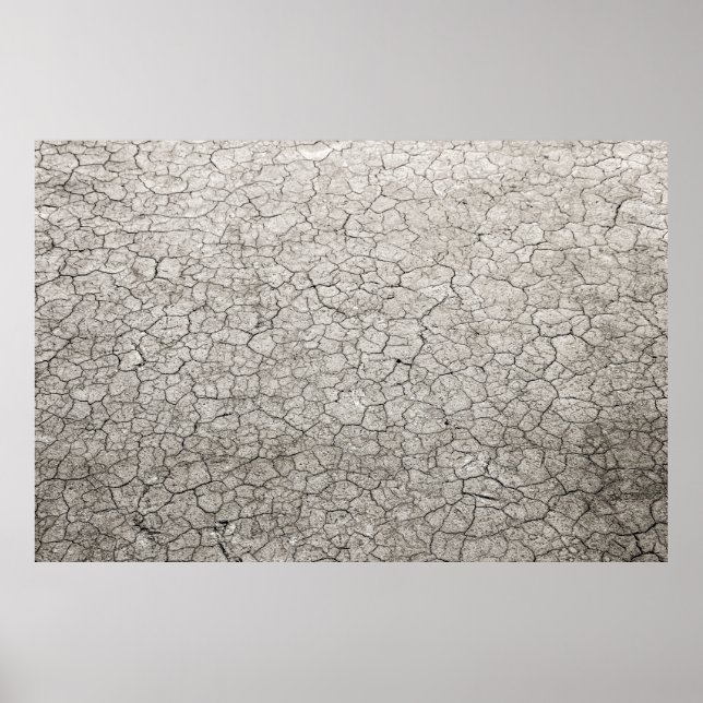 Poster Conceito de verme global - terra rachada e queimad (Frente)