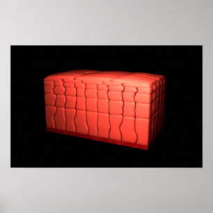 Pôster Conceito do epitélio estratificado 1 de Squamous