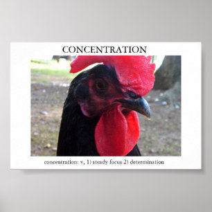 Pôster Concentração