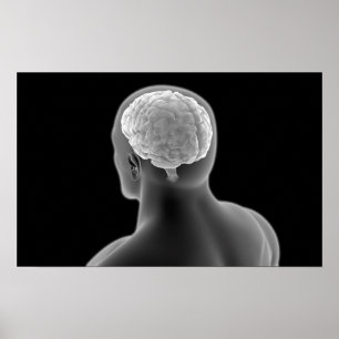 Pôster Conceptual Image Of Human Brain 2