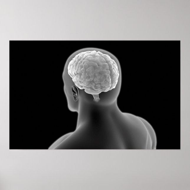 Pôster Conceptual Image Of Human Brain 2 (Frente)