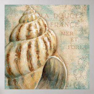 Poster Conch francês Shell do vintage